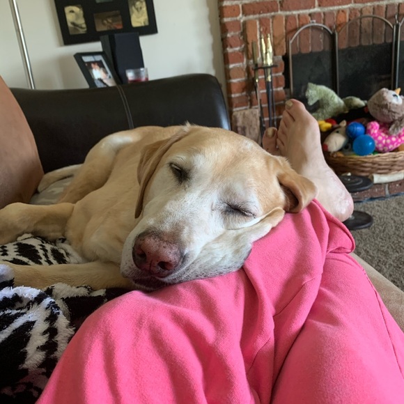 Meet your Posher, Heidi - Picture 6 of 9